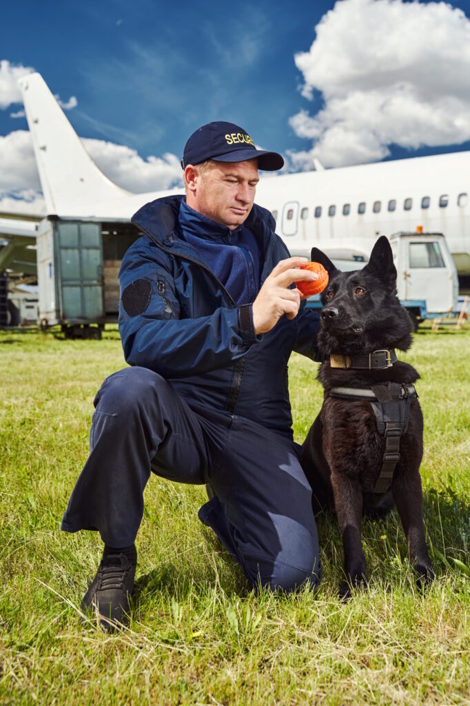 Training and Education